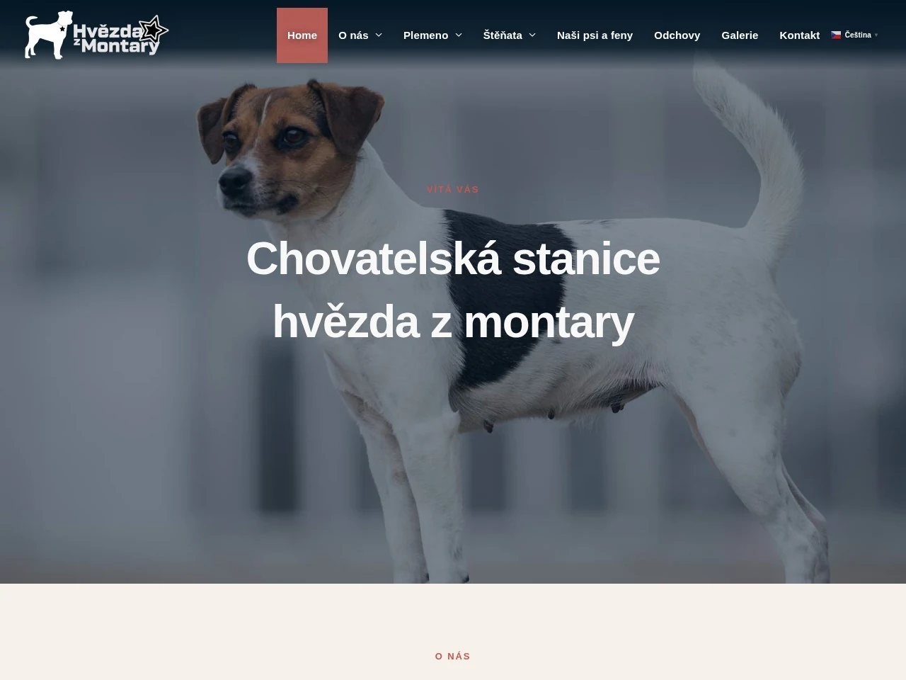 Náhled webu Hvězda z Montary