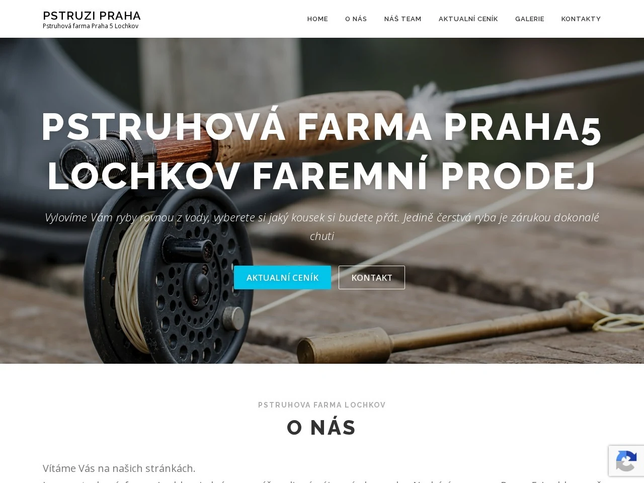 Náhled webu Pstruzi Praha